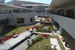 ANDARES MALL